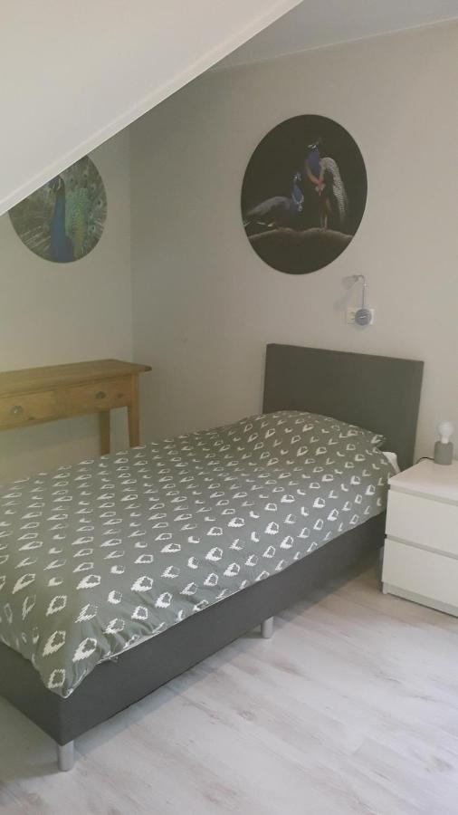 Groot Familiehuis Voor 6 Personen In Landelijke, Rustige Omgeving Βίλα Breezand Εξωτερικό φωτογραφία